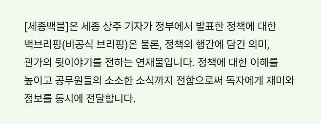 세종백블