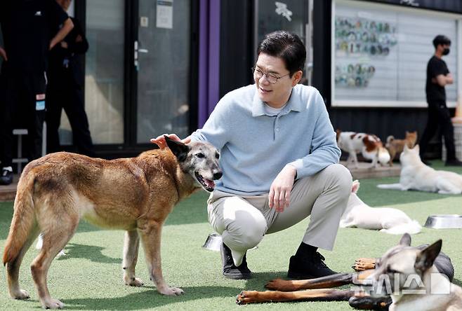 [서울=뉴시스] 김진아 기자 = 정원오 더불어민주당 서울시장 후보가 10일 서울 동대문구 도그어스플래닛에서 진행된 '정원오가 간다-찾아가는 서울人터뷰 반려동물편'에서 김효진 도그어스플래닛 대표와 강아지들의 상태를 살피고 있다. 2026.05.10. bluesoda@newsis.com