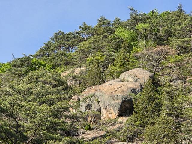 경주 남산 열반골의 이무기바위. 강시일 기자