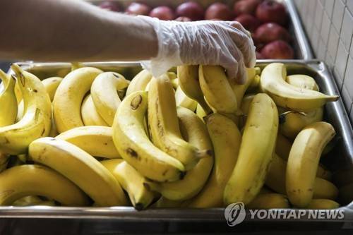 바나나(기사와 직접적인 관련 없는 사진) [연합뉴스]