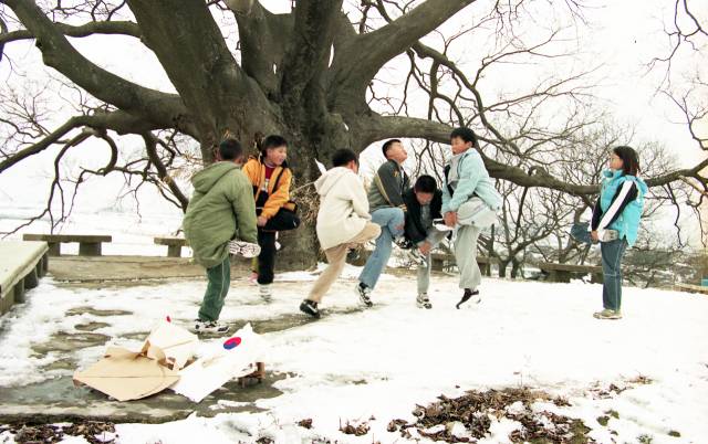 우영우팽나무 아래 겨울놀이(2003년), 양해광기증기록물, 경남기록원 소장.