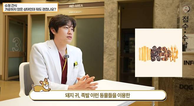 김예원 더케어동물의료센터 원장이 유튜브를 통해 반려견 간식 선택법을 소개했다(더케어동물의료센터 유튜브 갈무리). ⓒ 뉴스1