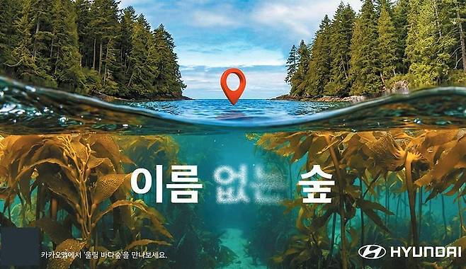 현대자동차는 2013년 한국이 세계 최초로 지정한 ‘바다식목일’을 계기로 전 세계 바다숲에 지명을 부여하고 지도를 구축하는 ‘이름 없는 숲’ 캠페인을 전개하고 있다. [사진 현대자동차]