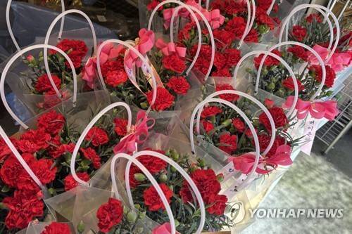 카네이션 꽃 바구니 (서울=연합뉴스) 이진주 인턴기자 = 어버이 날인 지난 8일 서울 한 시장의 꽃집에서 파는 카네이션 꽃바구니. 2026.5.12