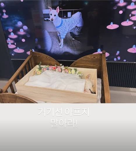 사진=김고은 SNS