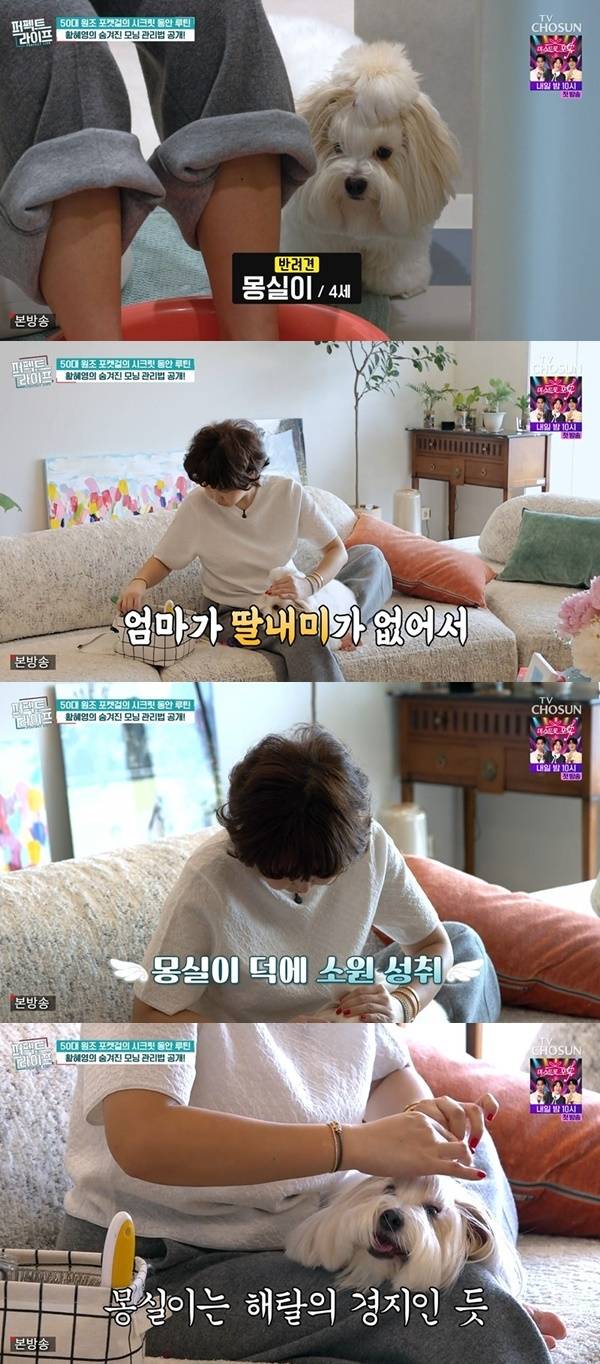 TV CHOSUN ‘퍼펙트라이프’ 캡처