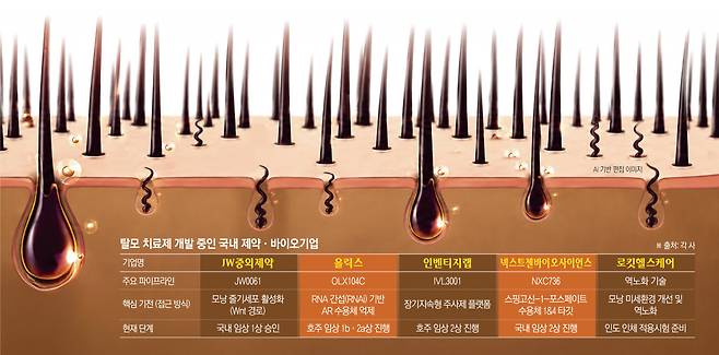 (그래픽=신미영 기자 win8226@)