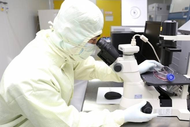 차바이오텍 연구원이 의약품제조및품질관리(GMP) 허가 시설에서 줄기세포를 관찰하고 있다. (차바이오텍 제공)