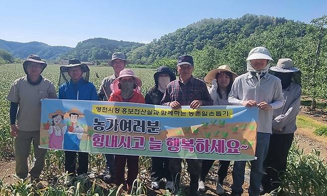 영천시 홍보전산실 직원들이 청통면 마늘 재배농가에서 마늘종 제거 작업을 하고 있다. ⓒ영천시 제공