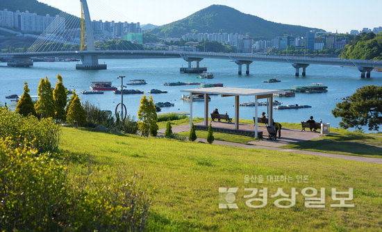 ▲ 여수시에 위치한 장도.