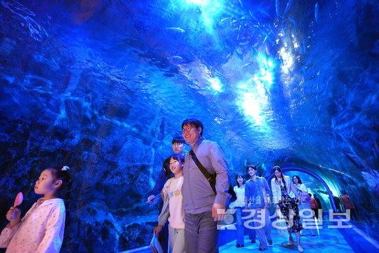 ▲ 아쿠아플라넷 여수를 찾은 관람객들이 수족관 터널을 지나며 해양생물들을 관람하고 있다.