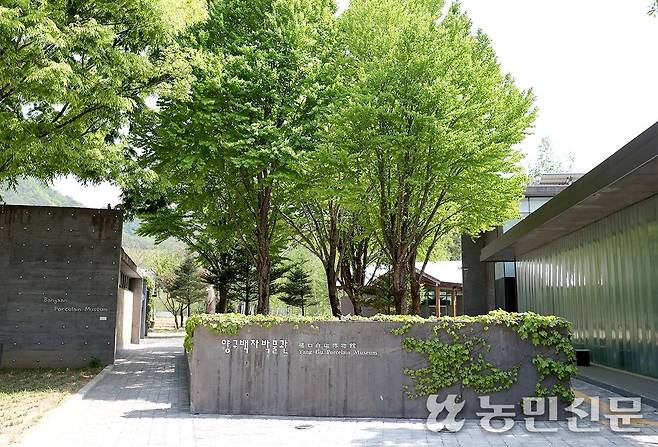 박물관은 건축미가 빼어나 밖을 거닐기에도 좋다. 양구=김원철 프리랜서 기자