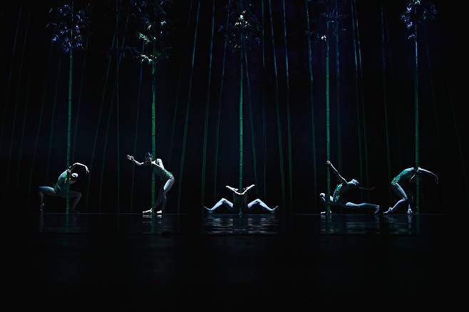 서울시발레단 '인 더 뱀부 포레스트'(In the Bamboo Forest) [세종문화회관 제공. 재판매 및 DB 금지]