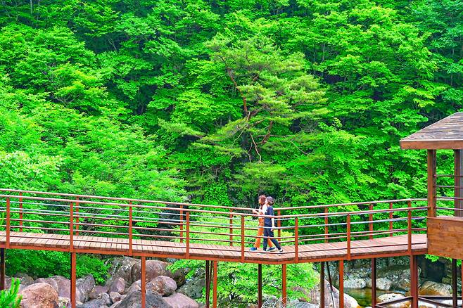 산청 중산두류생태탐방로 (1).JPG