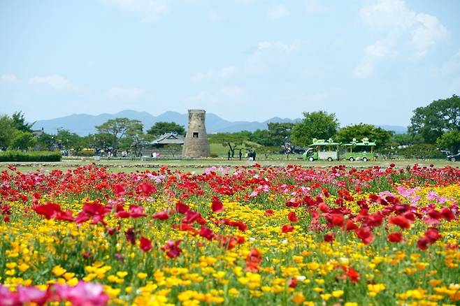 동부사적지대 꽃단지 / 사진 = 경주시