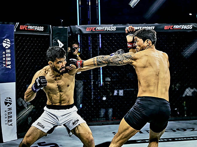 UFC 4경기 조시 마이클 퀸란이 2026년 5월 서울올림픽핸드볼경기장 Z-Fight Night 04 메인카드 제5경기에서 초대 블랙컴뱃 웰터급 챔피언 최준서한테 맞고 있다. ‘코리안 좀비’ 정찬성 대표의 ZFN은 UFC Fight Pass를 통해 중남미 제외 글로벌 생중계된다. 사진=MCP ECC