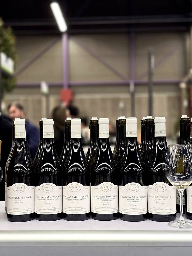 도멘 뱅상 에 프랑수아 주아르(Domaine Vincent & François Jouard) 바타르 몽라셰(오른쪽). 최현태 기자