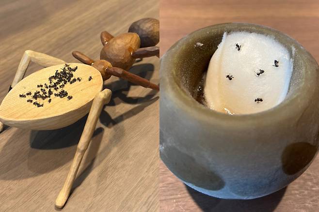 서울 강남구 신사동 소재 레스토랑에서 판매했던 개미 디저트. 채널A 보도화면 캡처