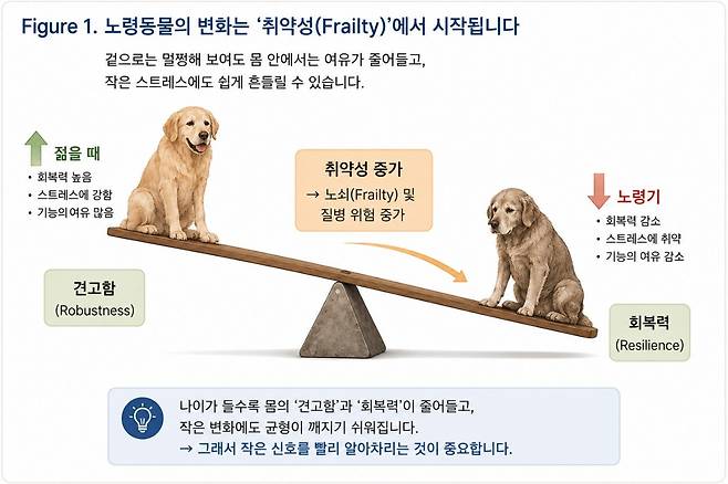 그래픽=연희동물의료센터 제공