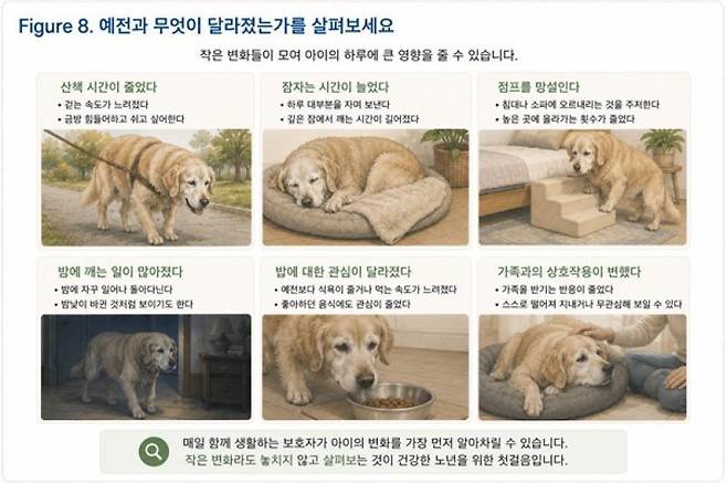 그래픽=연희동물의료센터 제공