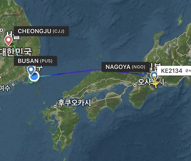 김해공항에 착륙하지 못해 결국 인천공항에 승객들을 내린 대한항공 KE2134편. 뉴시스