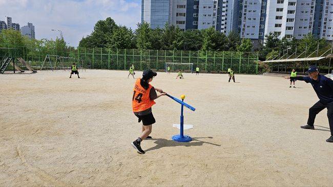 한국티볼연맹 제공