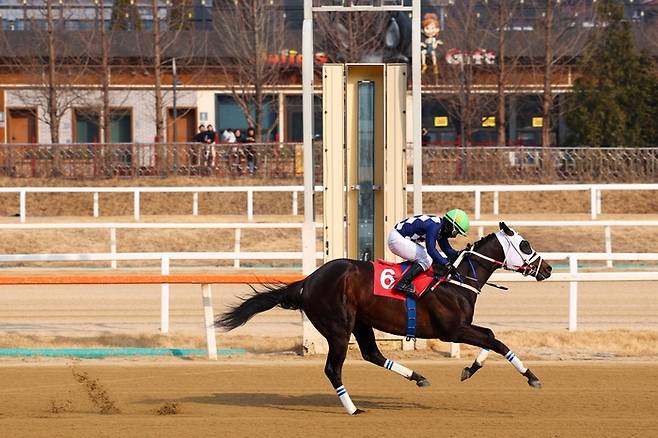 클린원. 사진 | 한국마사회