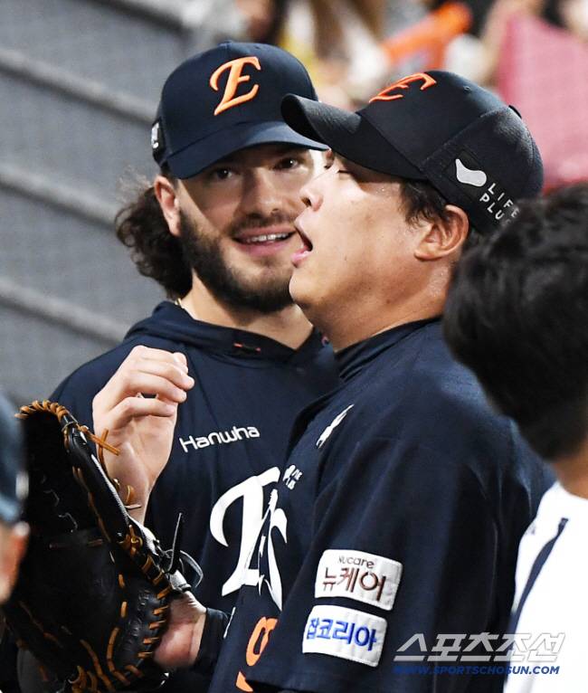 스포츠조선DB