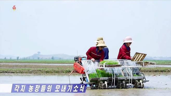 ▲ 북한에서 이달 10일경 시작된 모내기가 황해남도·평안남도·평안북도·함경남도 등 전국 모든 농장에서 매일 높은 실적을 기록하고 있다고 조선중앙TV가 18일 보도했다. [조선중앙TV 화면=연합뉴스]