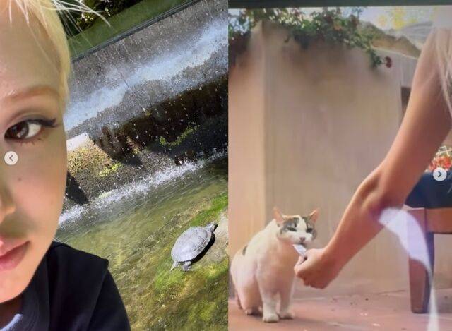 로제는 또 자라와 고양이와 함께 있는 모습도 앵글에 담아 눈길을 끌었다./로제 소셜미디어