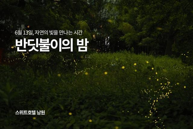 스위트호텔 남원, ‘반딧불이의 밤' 교원그룹 제공. 반딧불이 보고 도슨트 듣고…여행업계 ‘경험 소비’ 공략