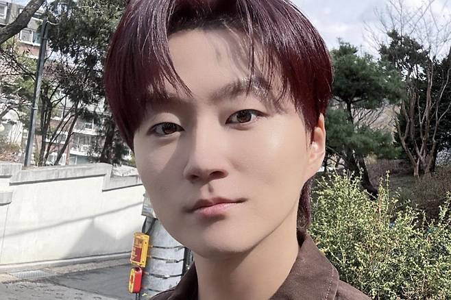 출처:포레스텔라