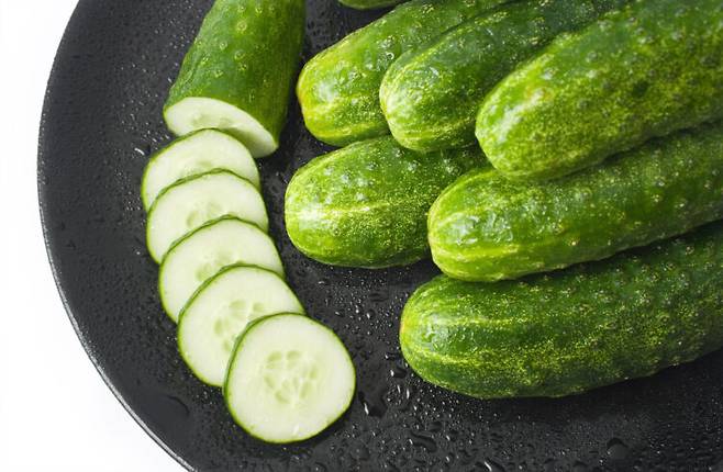 오이의 쓴맛은 단순 신선도 문제가 아니라 식물이 스스로를 보호하기 위해 만드는 특정 성분과 관련 있다. 사진=클립아트코리아