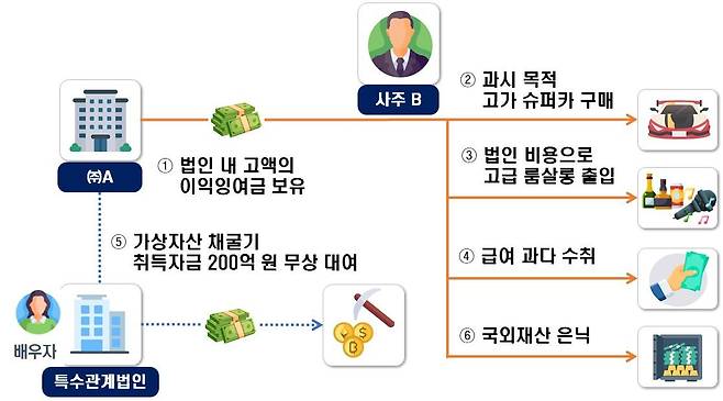 사주는 법인 명의로 슈퍼카를 구매하거나, 법인 비용으로 고급 룸살롱 출입, 고액 급여 수취 등의 방법으로 법인자금을 유출한 사례 흐름도. 국세청 제공