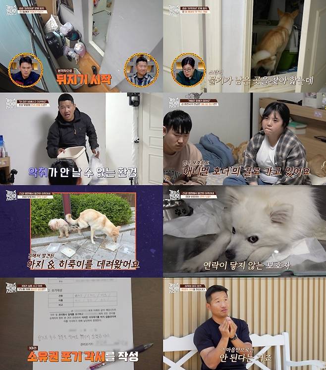 ▲ 제공|채널A '개와 늑대의 시간'
