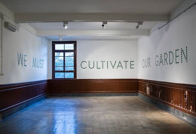 네이단 콜리作 ‘We Must Cultivate Our Garden'(2026. 스프레이 페인트로 분사한 벽면 텍스트. 가변설치). /네이단 콜리 스튜디오 제공