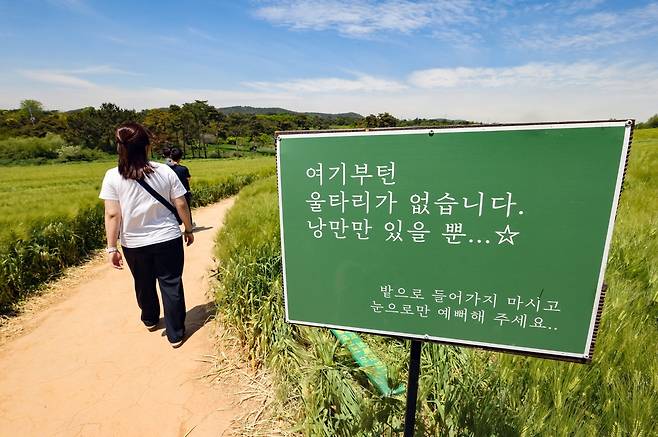 청보리밭 안내 표지판[사진/임헌정 기자]