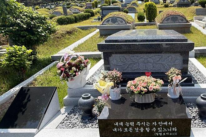 출처:노엘