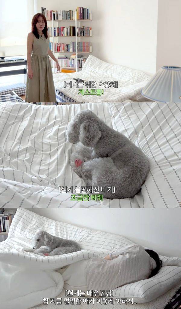 After actress Uhm Ji Won was accused of neglecting a crew member who collapsed due to health issues, YouTubes content creators have responded.Recently, a video was posted on Uhm Ji-wons YouTube channel revealing Yongsanjip. During the filming, one of the crew members became dizzy and fainted due to low blood pressure. Uhm Ji-won offered her bed in the guest room to the fainted crew member.At this time, Uhm Ji-wons dog was seen sitting next to the crew member on the bed. When asked, Is he staying with you?, she jokingly said, No, its his bed. However, she also said, Hes very sick. Shes resting, she said, allowing the collapsed crew members to rest.However, some viewers misunderstood the situation, pointing out that the actress was complacent and that if she collapsed, she should have gone to the emergency room, so why is she lying on a dog bed?In response to the misunderstanding, the production team commented, In the process of editing the long footage, some scenes and reactions were emphasized, so the video was edited to show the stimulating part of Eum Ji Wons life rather than the whole. If you felt uncomfortable, we apologize for the shortcomings of the production team.When she suffered from low blood pressure during filming, we paused filming, and during the break, she (Uhm Ji-won) personally took care of her and gave her sweet food, he explained.We were unable to fully capture this atmosphere and process in the edited version, and as a result, we feel heavy about the fact that only some aspects were emphasized and conveyed, he said, promising to create content in a thoughtful and considerate manner in the future.