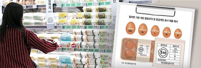 ‘왕란’ ‘특란’과 같이 계란 크기에 대한 혼선을 줄 수 있는 분류 대신 앞으로 ‘2XL·XL·L·M·S’ 분류 체계가 도입될 예정인 가운데 지난달 7일 서울의 한 대형마트에 다양한 종류의 계란이 진열돼 있다.  뉴시스