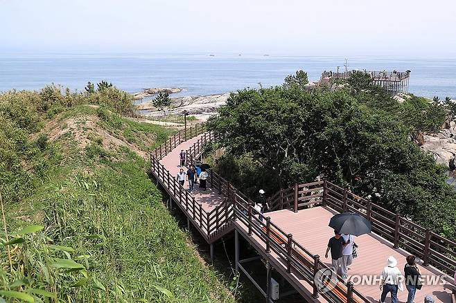 송지호 바다 하늘길에서 바라본 죽도 (강원 고성=연합뉴스) 류호준 기자 = 2일 강원 고성군 죽왕면 송지호 바다 하늘길에서 바라본 죽도가 시민과 관광객들로 붐비고 있다. 2026.6.2 ryu@yna.co.kr