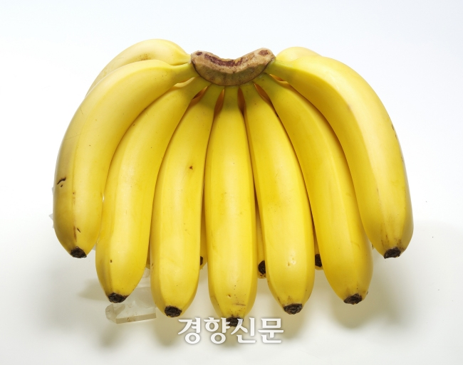 바나나 이미지. 경향신문 자료사진