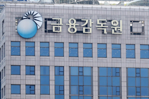 [사진=금융감독원]