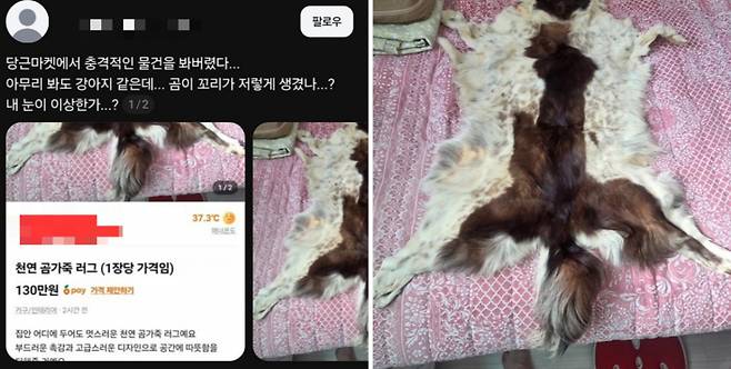 중고거래 플랫폼에 올라온 한 '곰 가죽 러그 판매 글' 속 사진이 개 가죽으로 보인다는 지적이 나왔다. 사진은 논란의 중고거래 판매 글을 캡처한 것. /사진=SNS 갈무리