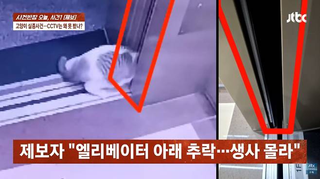 아파트에서 반려묘를 잃어버린 한 가족이 관리실에 CCTV 열람을 요청했으나 여러 차례 거절당해 구조가 늦어졌다며 분통을 터뜨렸다. /사진=JTBC '사건반장' 방송화면 캡처
