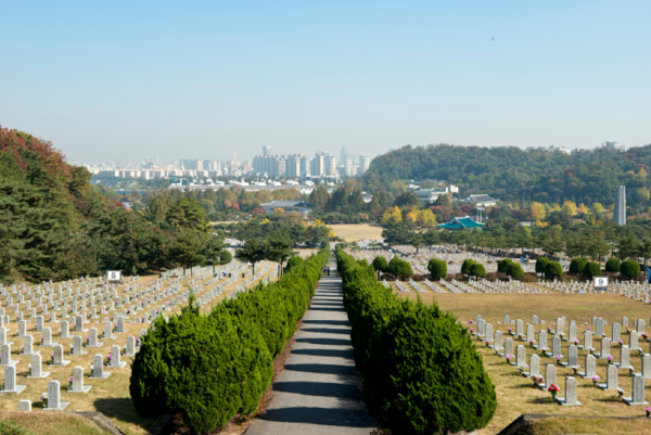 순직 경찰관들이 잠든 국립서울현충원 5번과 9번 묘역에서 서울 도심 쪽을 바라본 전경. (국가보훈부)