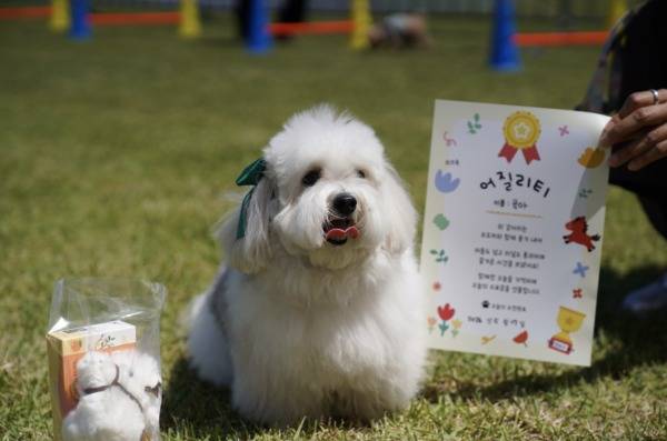 한국마사회 제주지역본부는 5월 렛츠런파크 제주에서 반려견 행사를 했다(마사회 제공). ⓒ 뉴스1