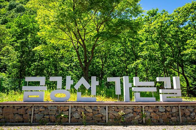 양구는 분단 전 금강산 장안사 가는 길목으로 유명했다. 민통선 내 두타연 관광안내소 근처엔 '금강산 가는 길' 안내 문구나 이정표와 종종 마주친다. / 이건송 영상미디어 기자