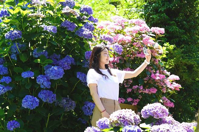 해남군 현산면 봉동마을 포레스트수목원에서 한 관광객의 셀카 장면. /사진=해남