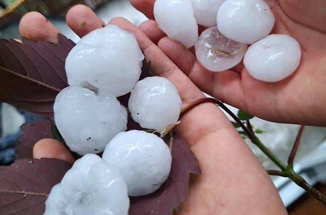 ▲지난해 5월 프랑스 파리 등에 떨어진 지름 3~4cm 크기의 우박.  (사진= Meteo Nord Parisien)
